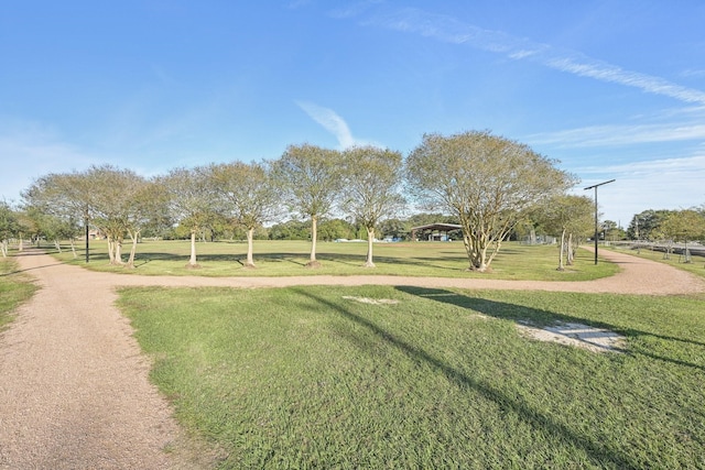 view of community featuring a yard