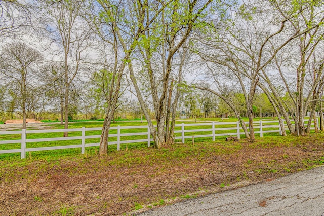0 Buckskin Rd, Simonton, TX 77476 - view of gate featuring fence and a lawn