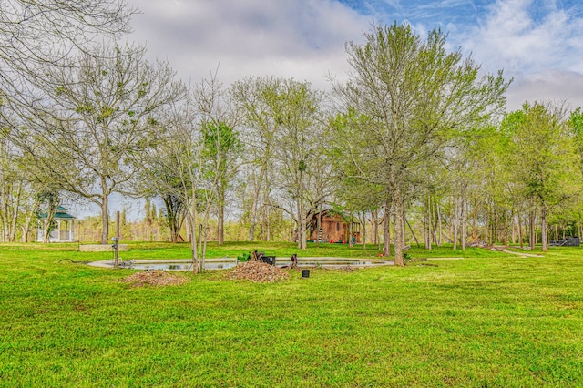 0 Buckskin Rd, Simonton, TX 77476 - view of yard