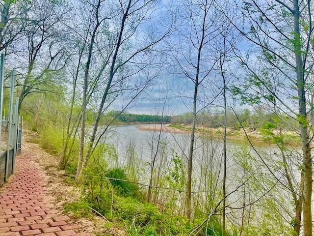 0 Buckskin Rd, Simonton, TX 77476 - view of water feature