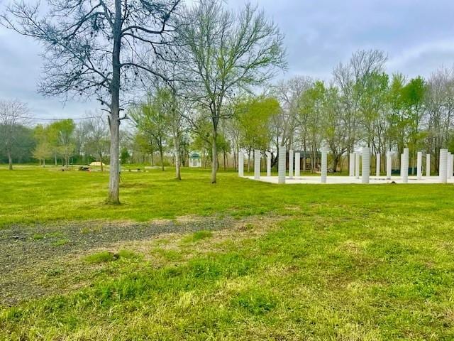 view of community with a yard