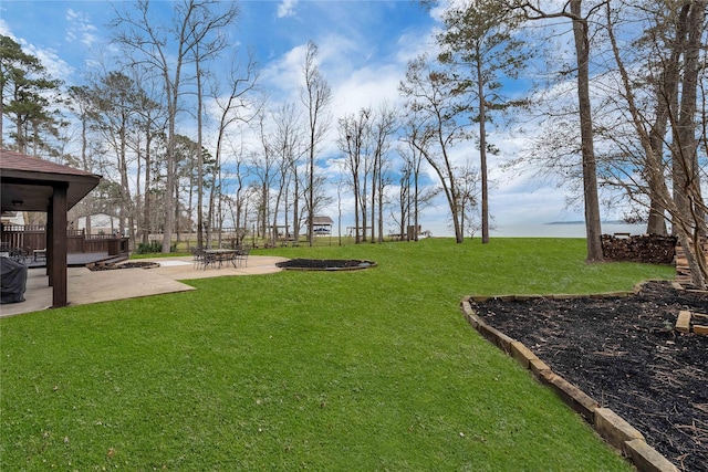 view of yard featuring a patio area