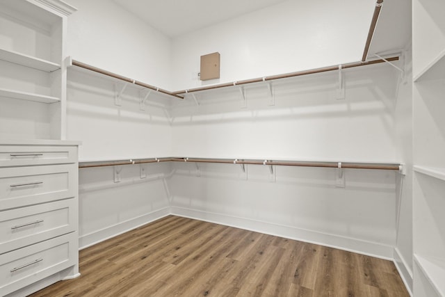 walk in closet featuring wood-type flooring