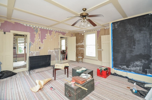 carpeted living room featuring coffered ceiling, plenty of natural light, and ceiling fan