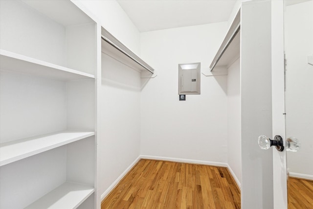 walk in closet with electric panel and light wood-style flooring