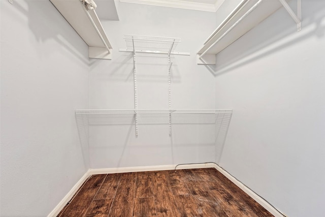 walk in closet featuring dark hardwood / wood-style flooring