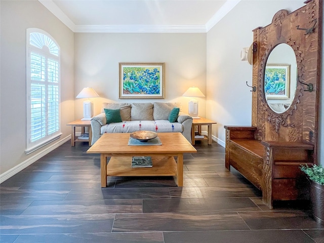 living room with ornamental molding and dark hardwood / wood-style floors