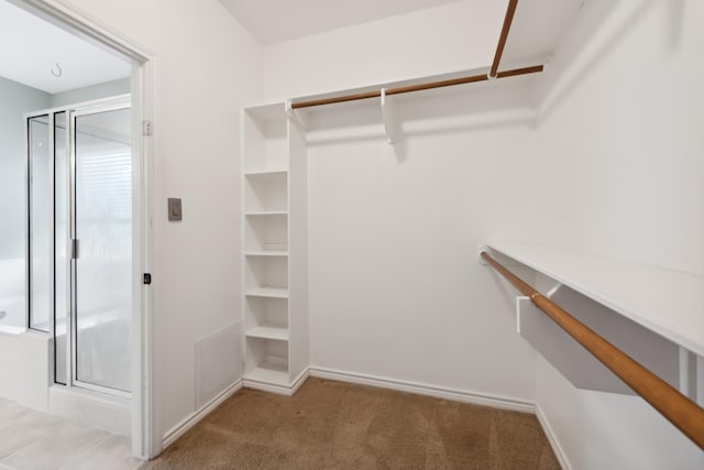 walk in closet featuring carpet