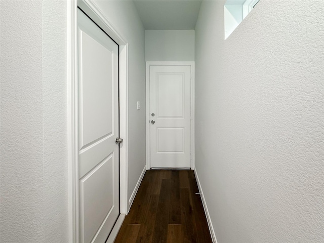 hall with dark wood-type flooring