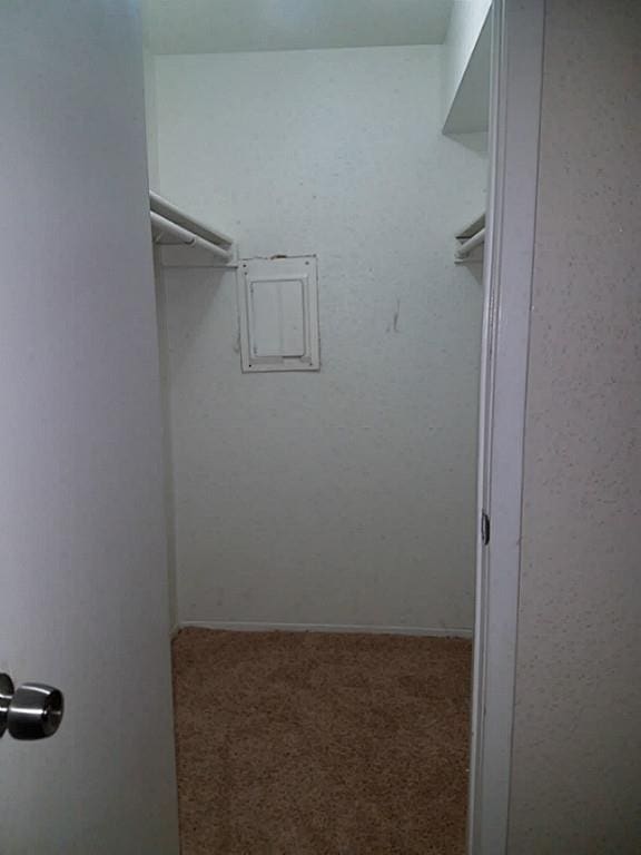 walk in closet featuring carpet flooring