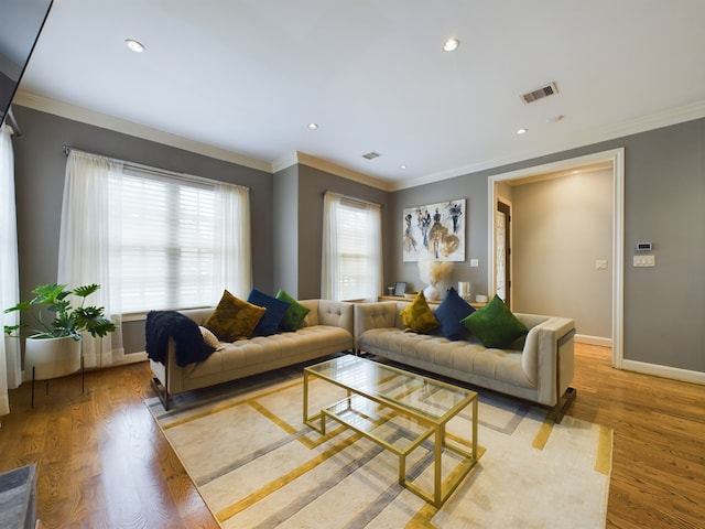 living room featuring crown molding and wood-type flooring