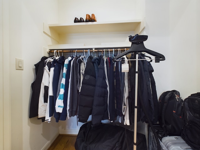 spacious closet with hardwood / wood-style floors