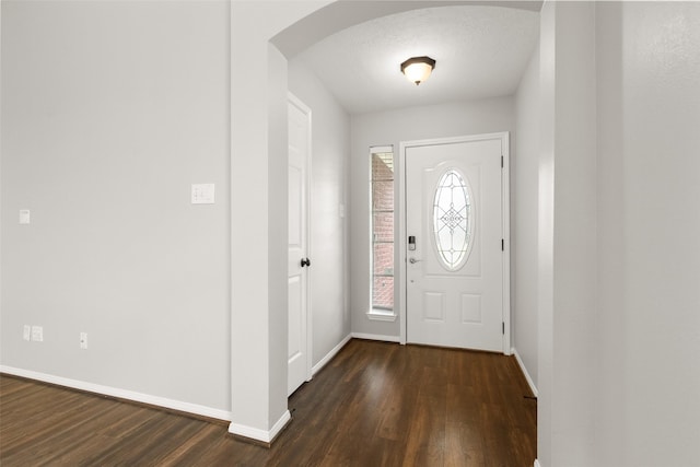 foyer entrance featuring dark wood-type flooring