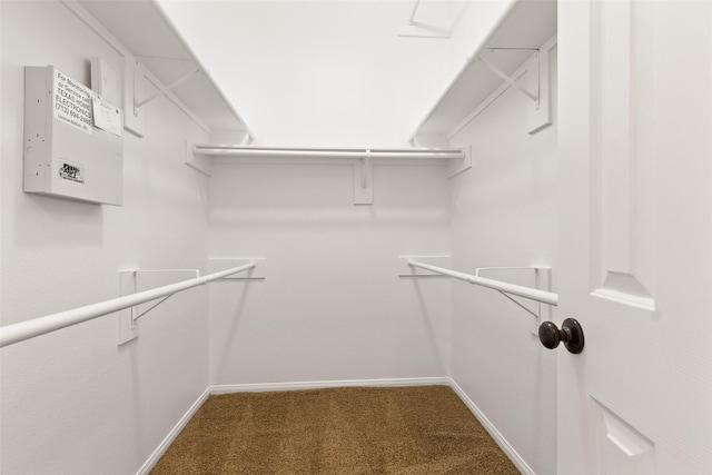 walk in closet featuring carpet flooring