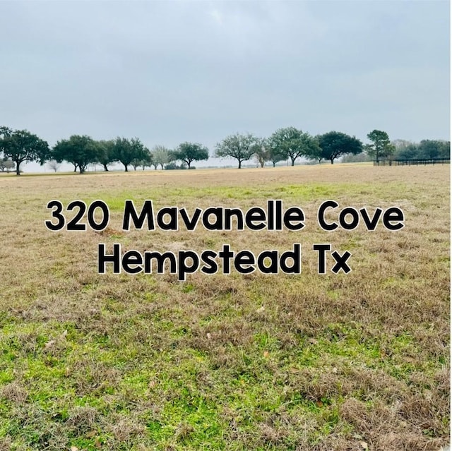 320 Mavanelle Cv, Hempstead TX, 77445 land for sale