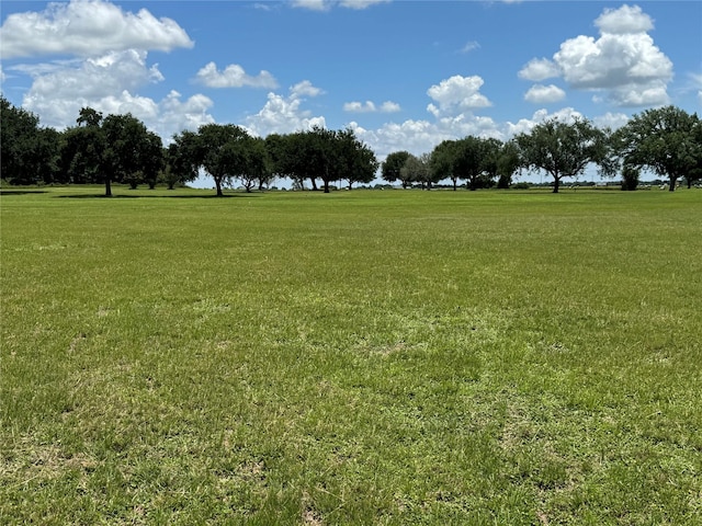 320 Mavanelle Cv, Hempstead, TX 77445 - photo 2