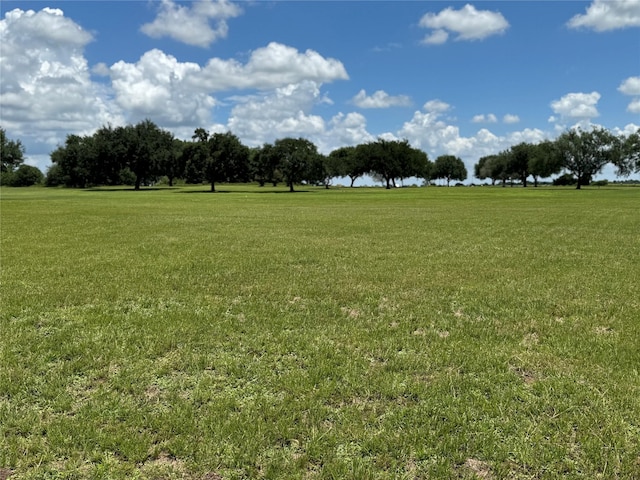 320 Mavanelle Cv, Hempstead, TX 77445 - photo 3