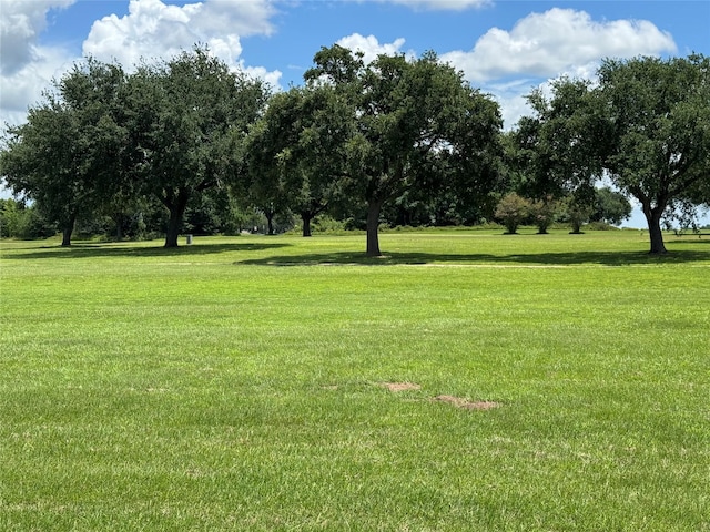 320 Mavanelle Cv, Hempstead, TX 77445 - photo 4