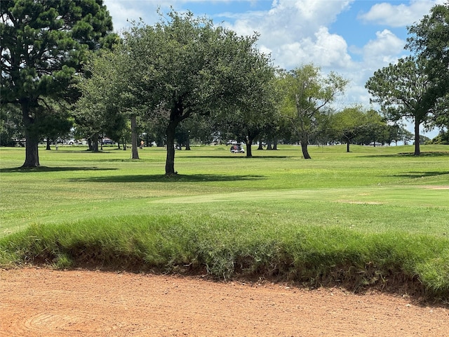 320 Mavanelle Cv, Hempstead, TX 77445 - photo 8