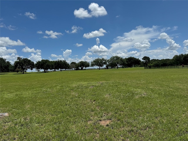 320 Mavanelle Cv, Hempstead, TX 77445 - photo 10