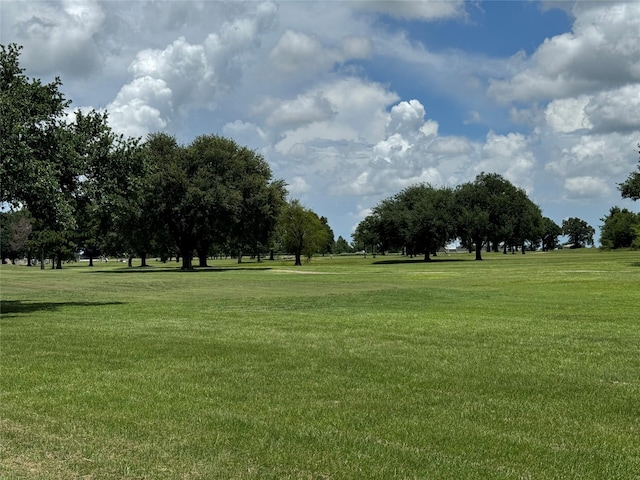 320 Mavanelle Cv, Hempstead, TX 77445 - photo 11