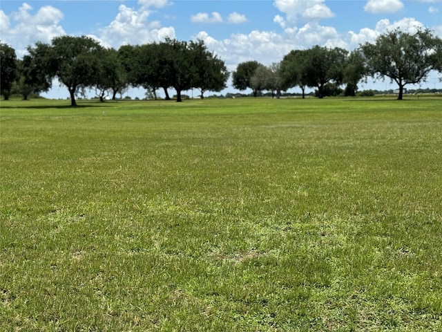 320 Mavanelle Cv, Hempstead, TX 77445 - photo 12