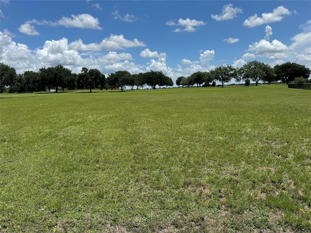 320 Mavanelle Cv, Hempstead, TX 77445 - photo 13