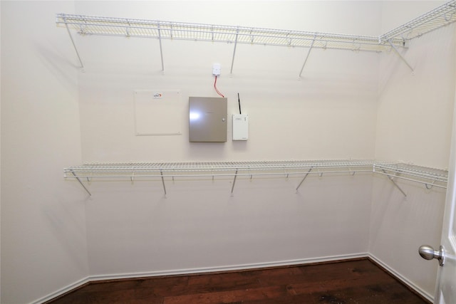 walk in closet featuring dark wood-type flooring and electric panel