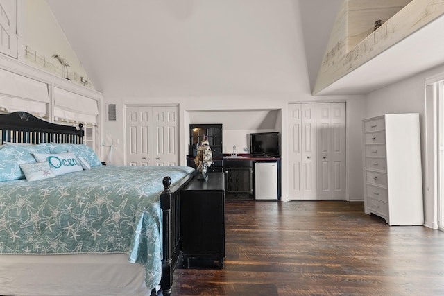 bedroom featuring sink, dark wood-type flooring, high vaulted ceiling, fridge, and two closets