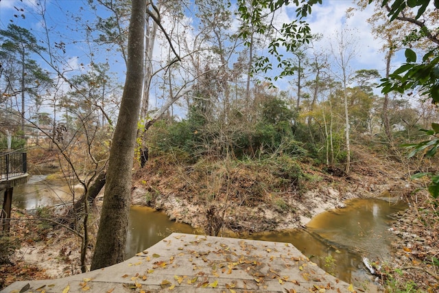 property view of water with a boat dock