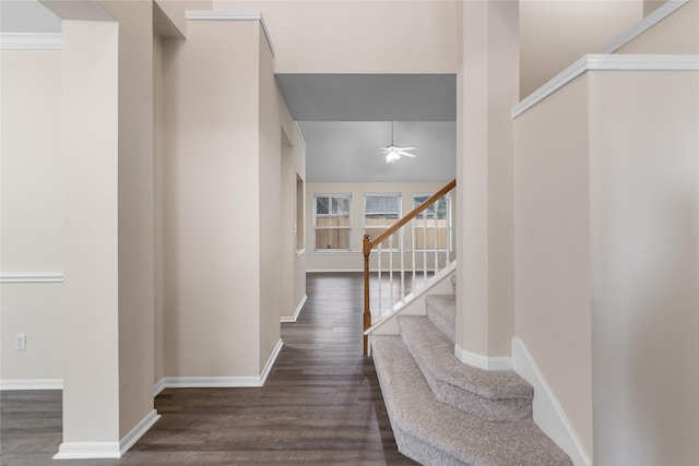 hall featuring dark wood-type flooring