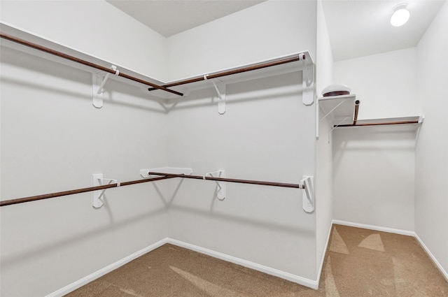 spacious closet featuring carpet flooring