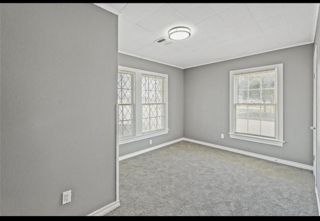 carpeted spare room featuring ornamental molding and a healthy amount of sunlight