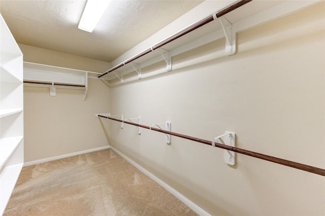 spacious closet featuring light colored carpet