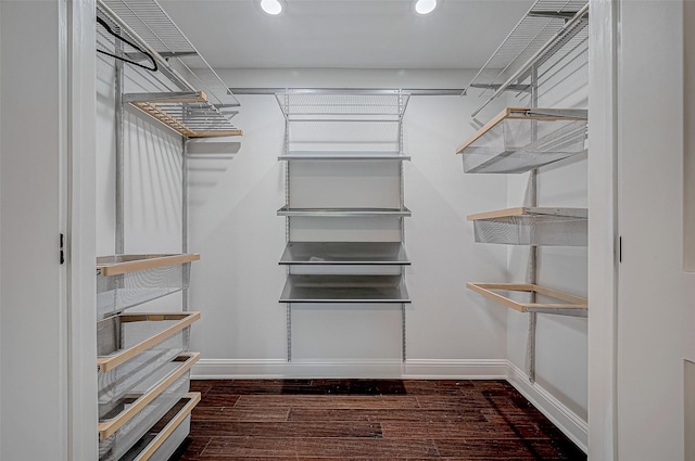 spacious closet with dark wood-type flooring