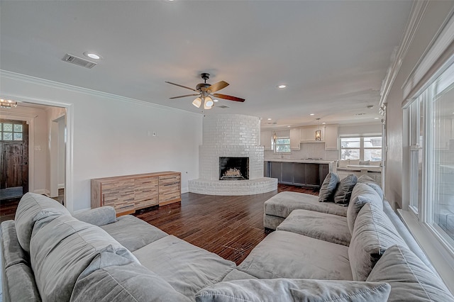 living room with dark hardwood / wood-style flooring, crown molding, a fireplace, and ceiling fan