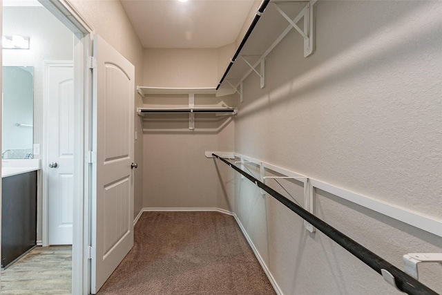 walk in closet with light carpet