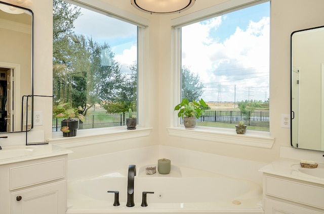 bathroom with vanity and a bathing tub