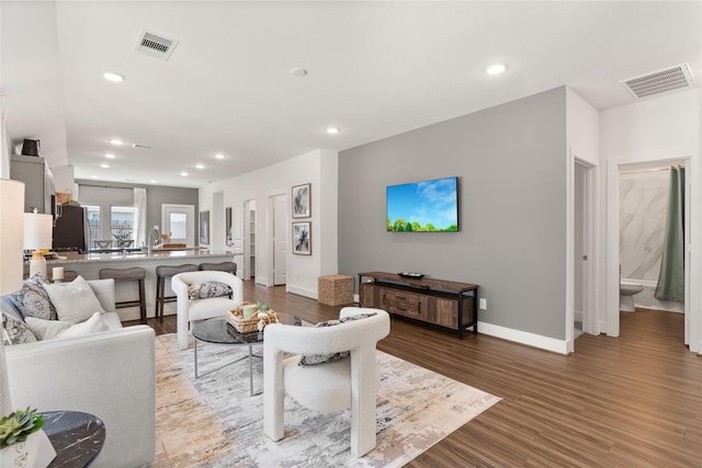 living room with sink and dark wood-type flooring