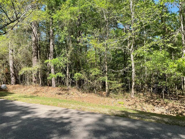 262 Twinstone Dr, Coldspring TX, 77331 land for sale