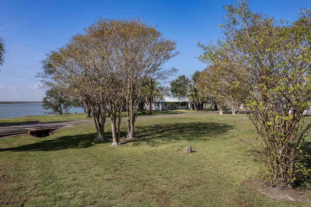 view of yard with a water view