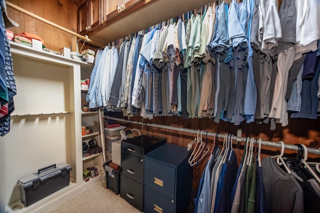 view of spacious closet