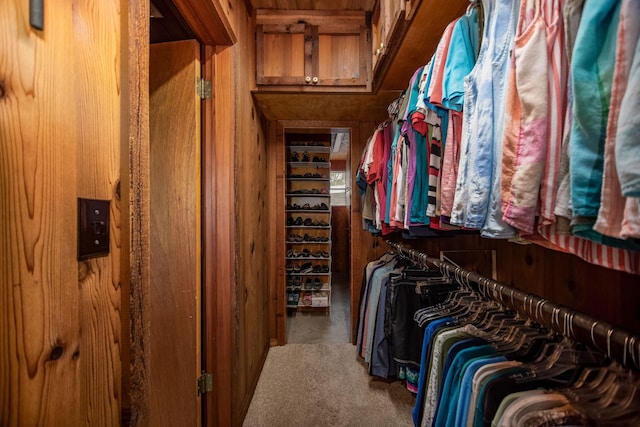 spacious closet with carpet