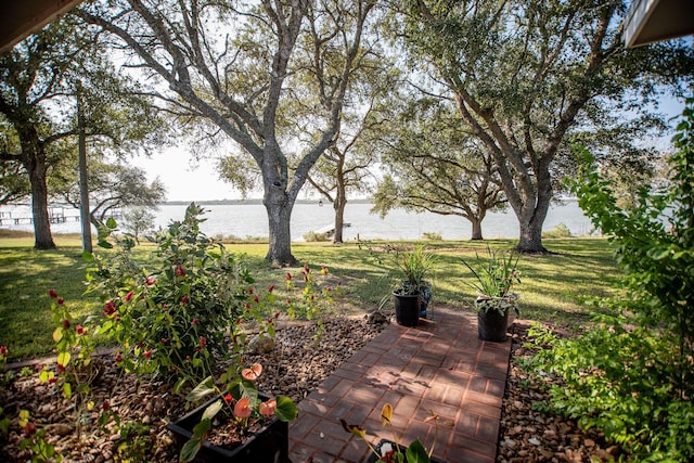 view of yard with a patio and a water view