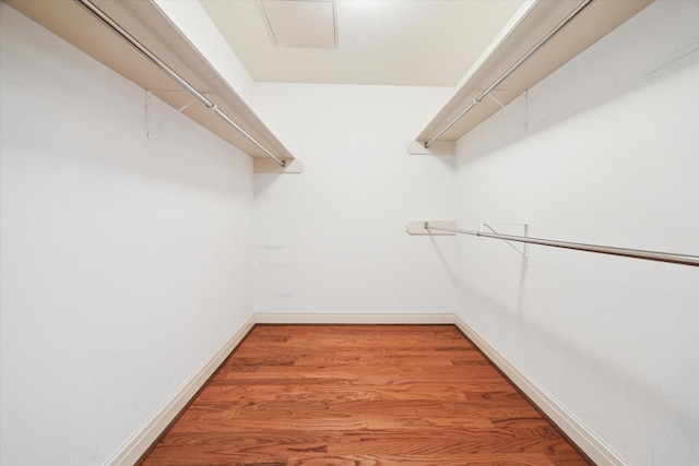 walk in closet with hardwood / wood-style floors