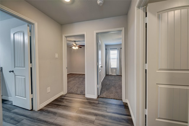 corridor featuring dark hardwood / wood-style flooring