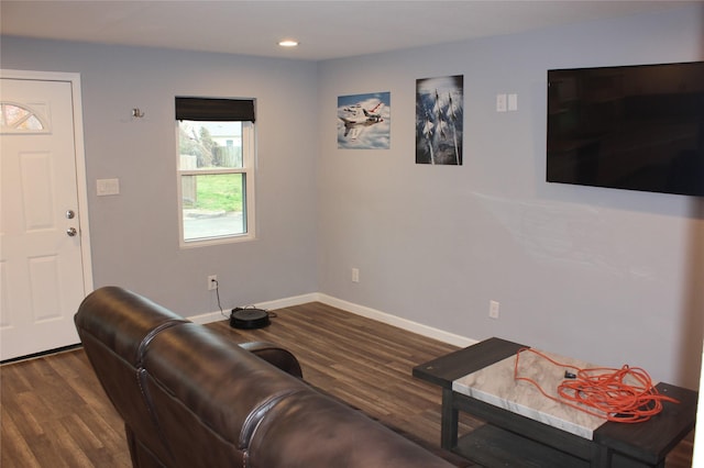 living room featuring dark wood-type flooring