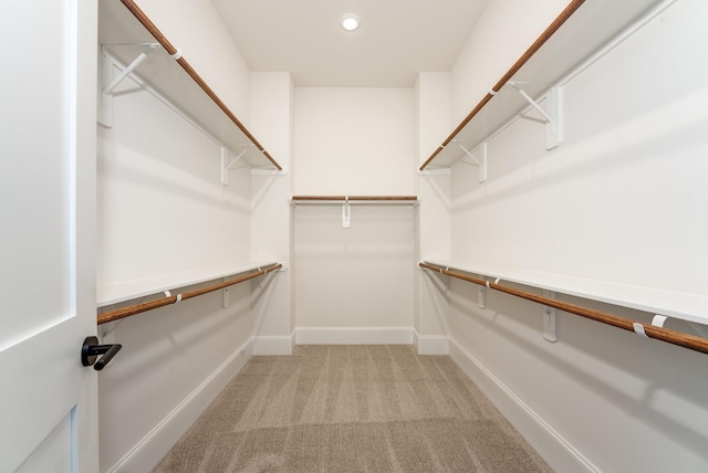 spacious closet with light carpet