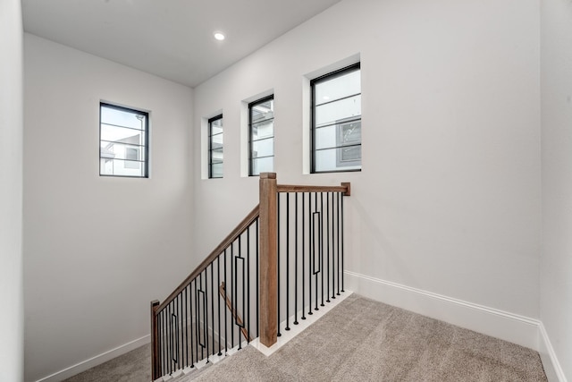 staircase featuring carpet floors