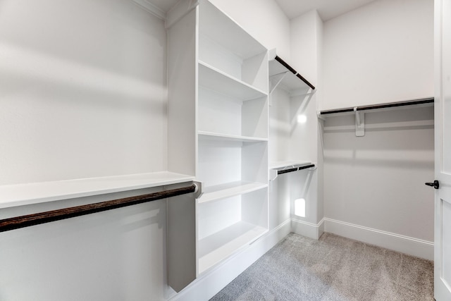 walk in closet featuring light colored carpet